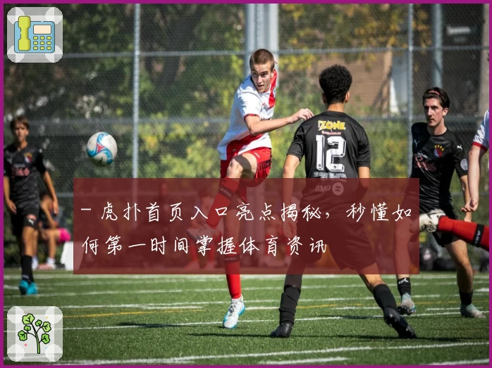 - 虎扑首页入口亮点揭秘，秒懂如何第一时间掌握体育资讯