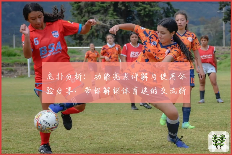 虎扑分析：功能亮点详解与使用体验分享，带你解锁体育迷的交流新天地