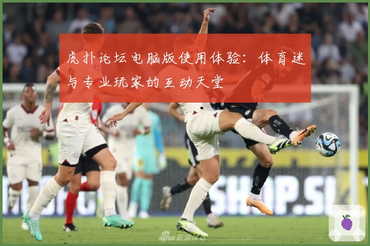 虎扑论坛电脑版使用体验：体育迷与专业玩家的互动天堂